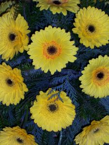 Kranz Gerbera gelb (2)